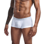 Seeinner Brand Underwear Men Boxers
