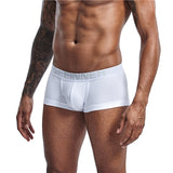 Seeinner Brand Underwear Men Boxers