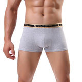 Boxer Mens Underwear Men Cotton Underpants