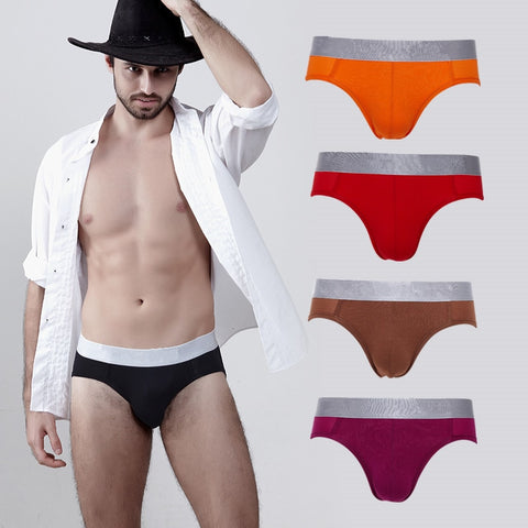 Fashion briefs men underwear men