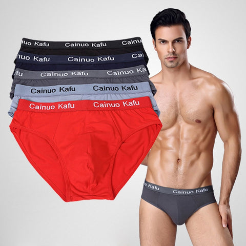 5pcs/lot Men Briefs Comfy Model Sexy Underwear